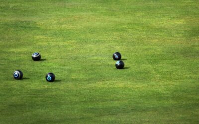 The Environmental and Health Benefits of Cleaning Your Artificial Turf