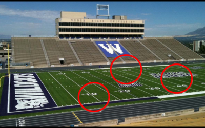 Determination of Microbial Populations in a Synthetic Turf System