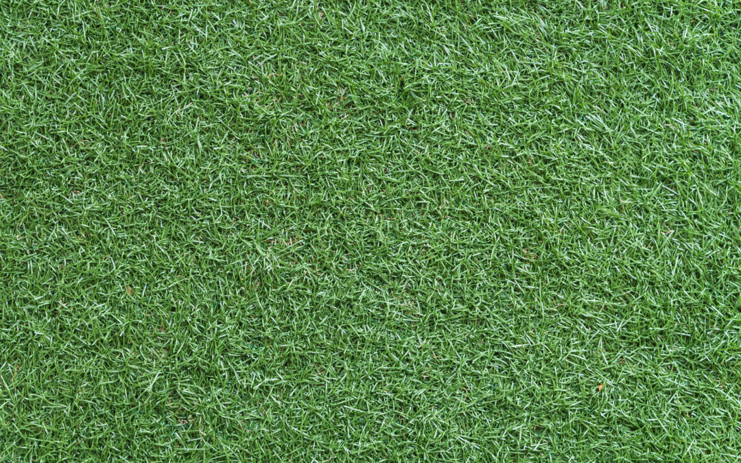 How to Effectively Clean Your Artificial Turf